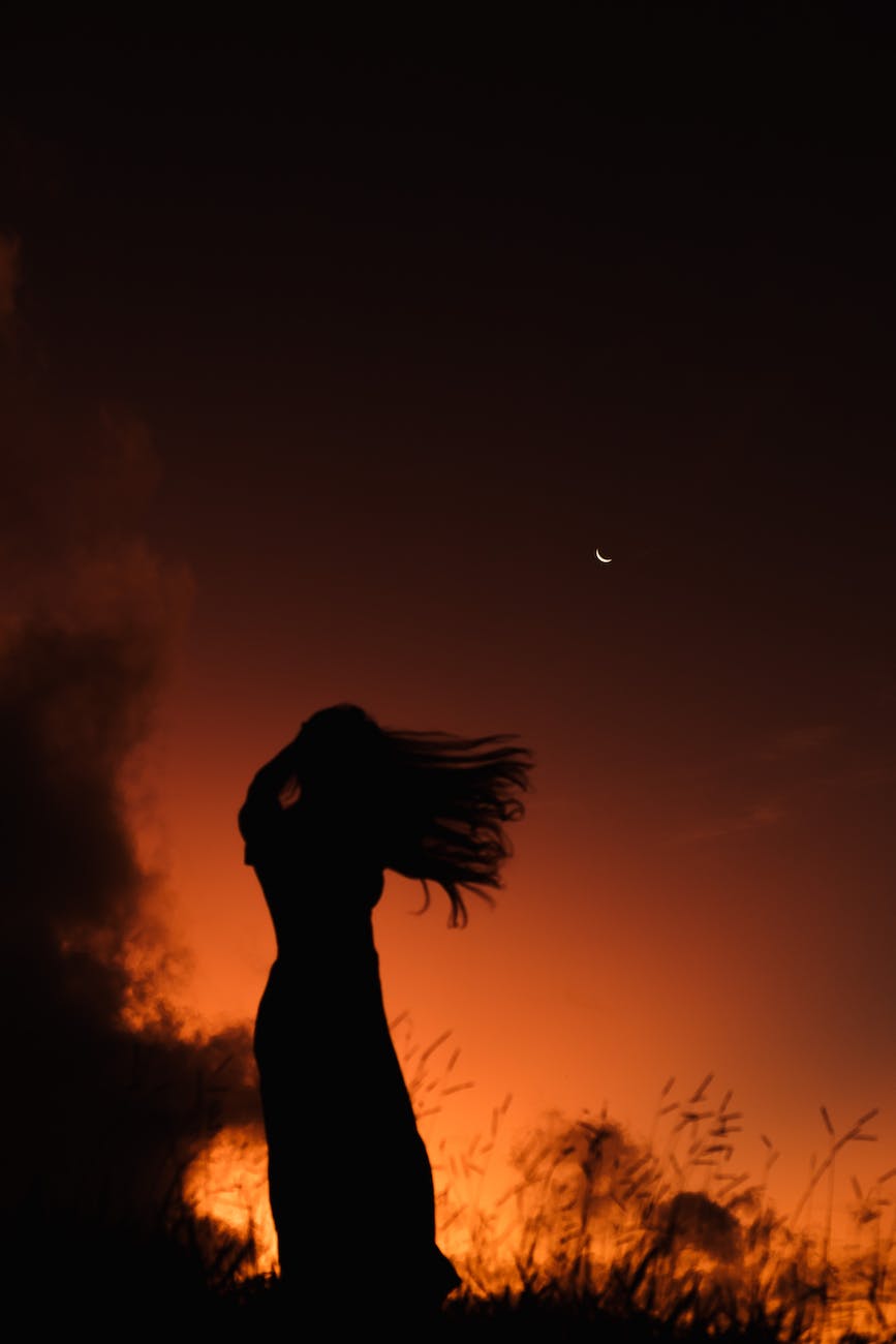 Pesma Pogled u noć, iz zbirke Ptica iza&nbsp;žice