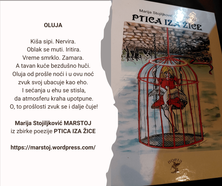 ART POEZIJA: pesma „Oluja“, Marija S.&nbsp;Marstoj